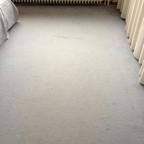 Teppichreinigung im Carpet - Cleaner - Verfahren, die einzig wahre Methode vorher