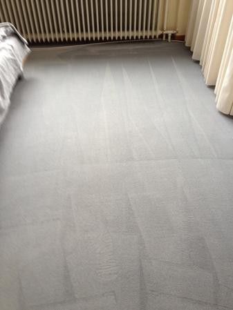 Teppichreinigung im Carpet - Cleaner - Verfahren, die einzig wahre Methode nachher